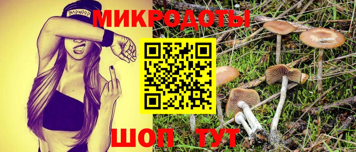 Псилоцибиновые грибы Cubensis Россия