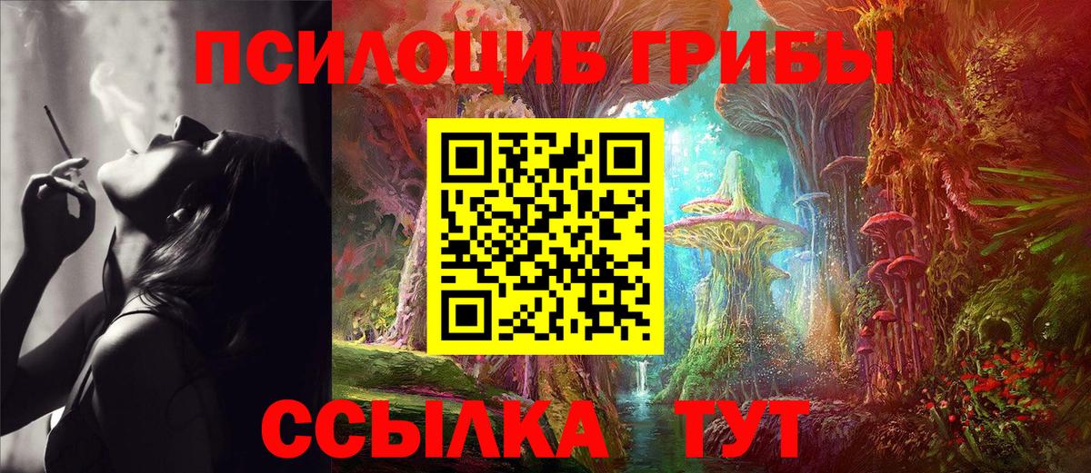 Россия  Галлюциногенные грибы Psilocybe  Вход с VPN  Галлюциногенные грибы прущие грибы 