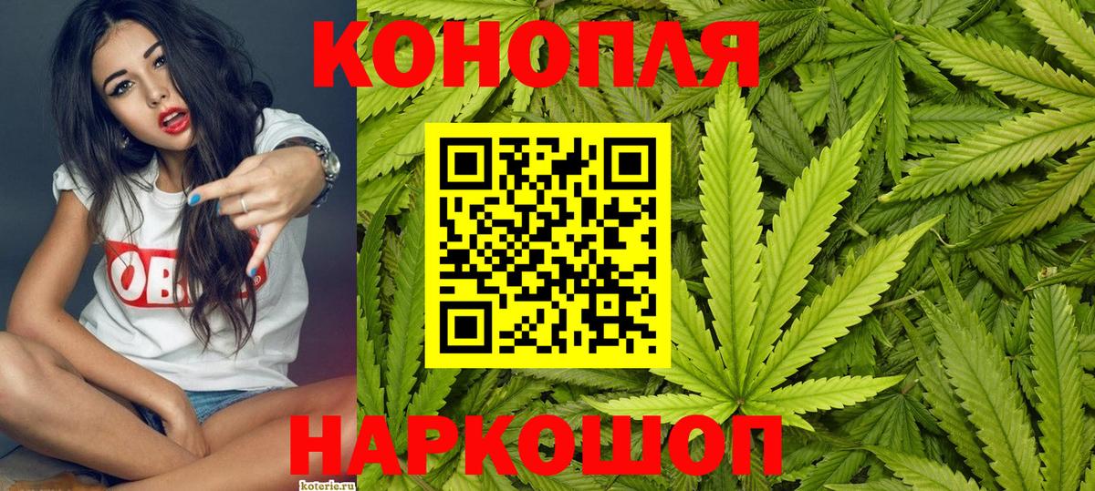 Россия  Конопля план  Вход с VPN  Шишки марихуана сатива 